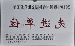 2010年度河南省太阳集团网站艺术单位“先进单位”